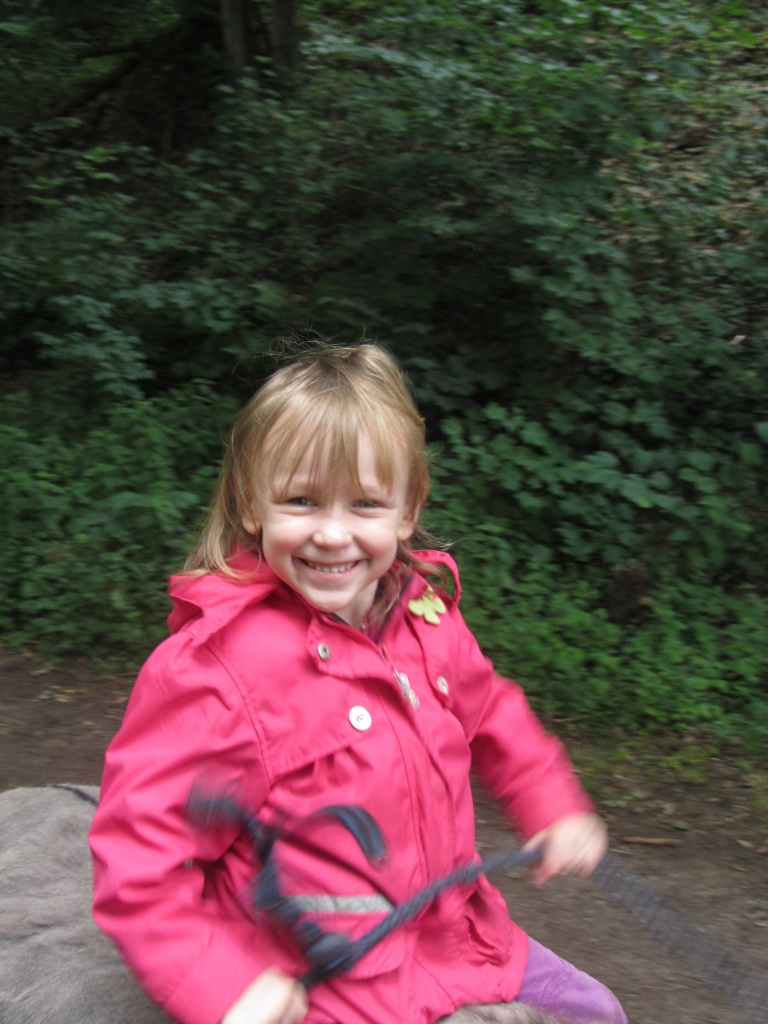 Sommer 010.jpg